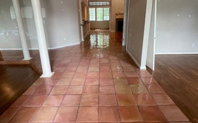 Why Regular Mexican Tile Polishing Enhances Durability and Aesthetic Appeal